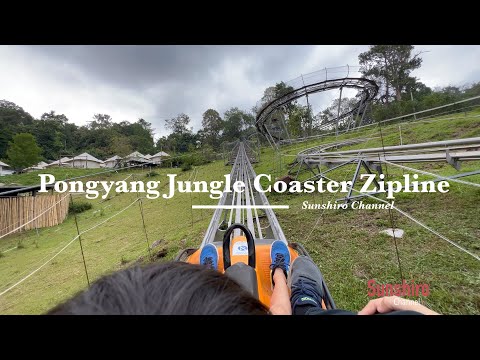 รีวิว โป่งแยง จังเกิ้ล โคสเตอร์ & ซิปไลน์ Pongyang Jungle Coaster Zipline ที่เที่ยวครอบครัวเชียงใหม่
