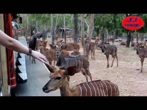 CHIANGMAI JJ TRAVEL – Chiangmai Night Safari